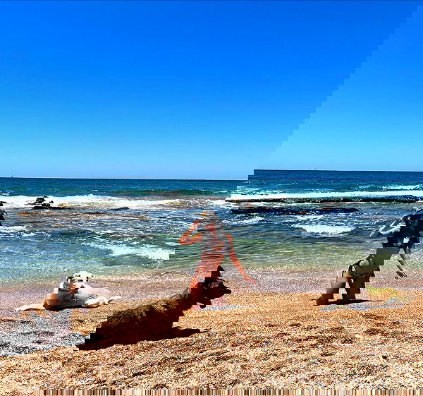 yam_adler image ~ Altpins