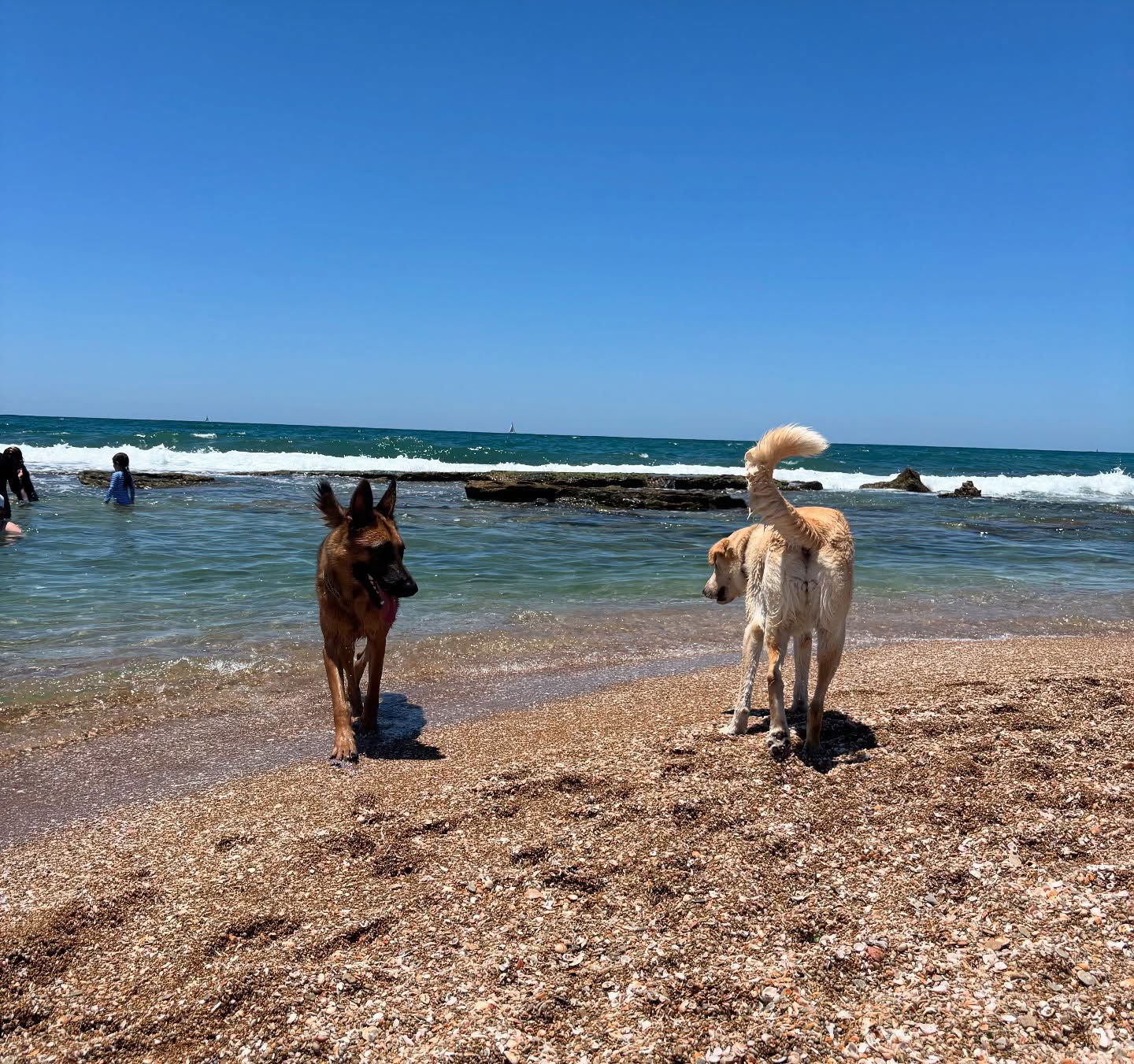 yam_adler instagram image archive image