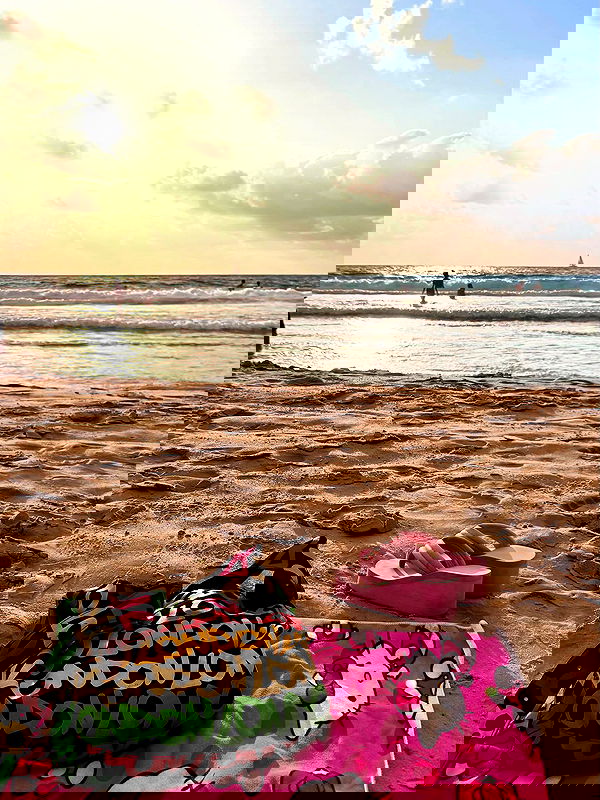 yam_adler image ~ Altpins