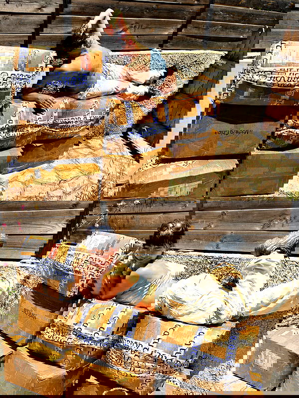 yam_adler image ~ Altpins