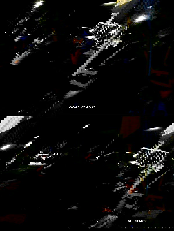 yam_adler image ~ Altpins