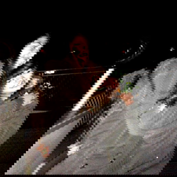 yam_adler image ~ Altpins