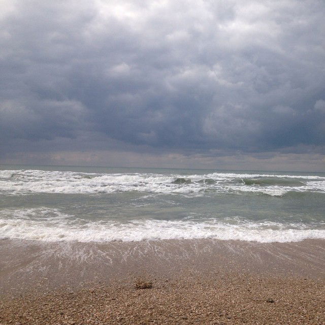 yam_adler instagram image archive image