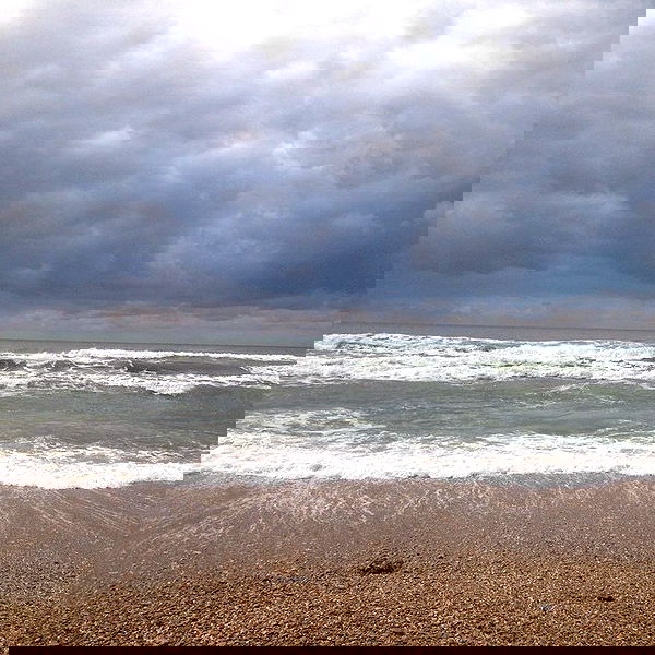 yam_adler image ~ Altpins