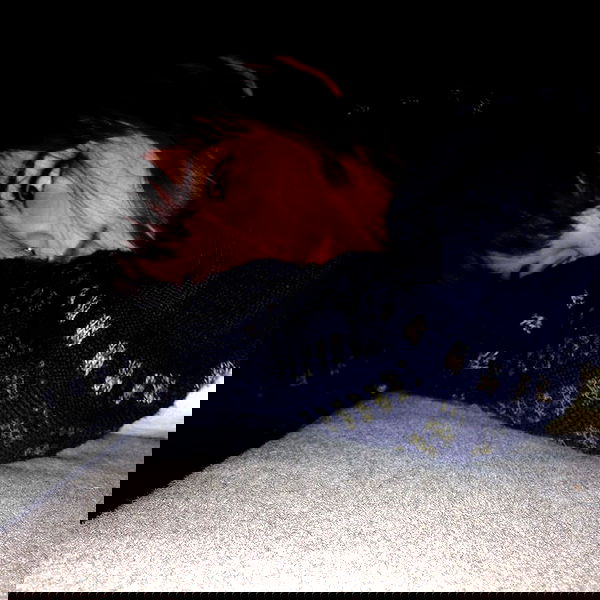 yam_adler image ~ Altpins