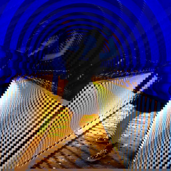 yam_adler image ~ Altpins