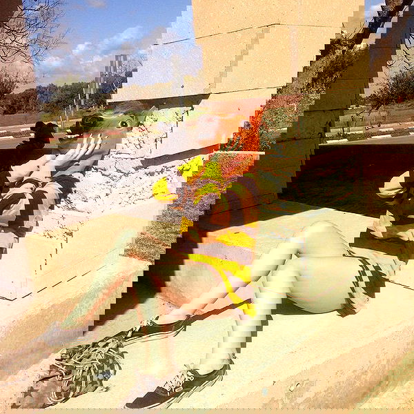 yam_adler image ~ Altpins