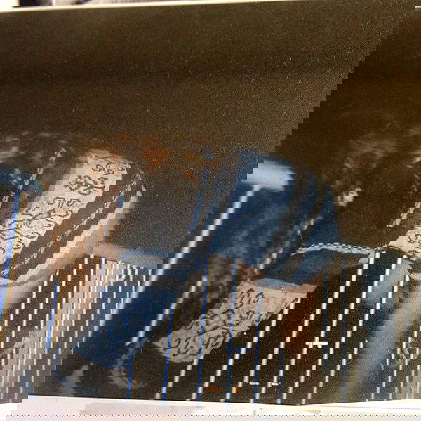 yam_adler image ~ Altpins