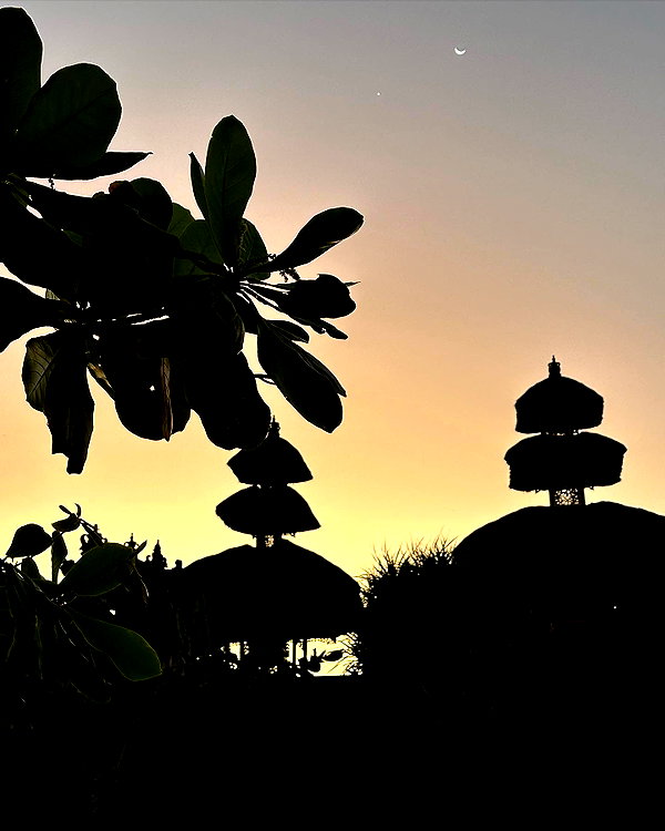 yambogdini instagram image archive image