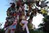 yambogdini Altpins Profile Picture