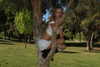 yambogdini Altpins Profile Picture