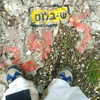 yanna_ship Altpins Profile Picture