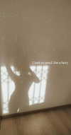 yanna_ship Altpins Profile Picture
