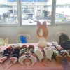 yanna_ship Altpins Profile Picture
