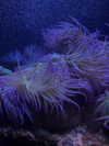 yanna_ship Altpins Profile Picture