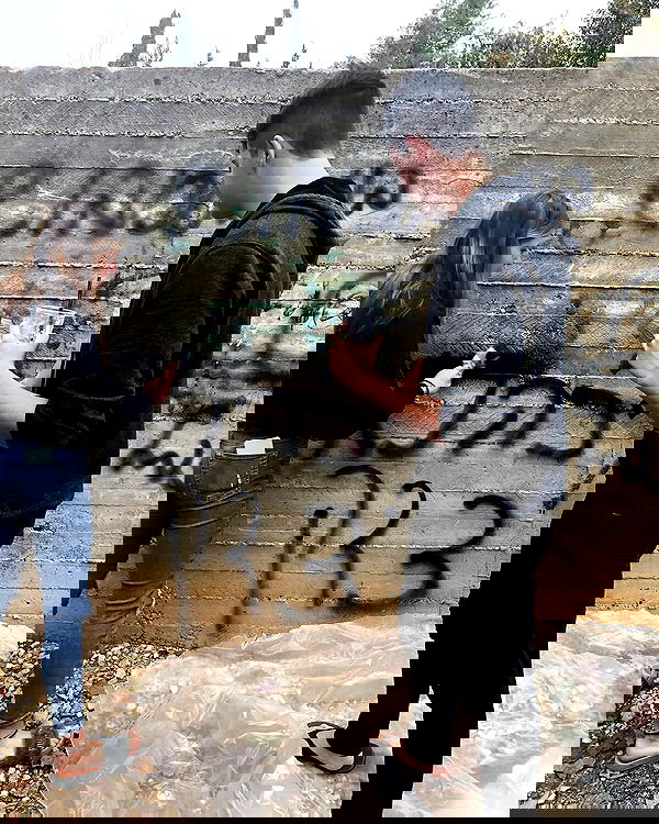 yannaidebeer yannaidebeer archive image