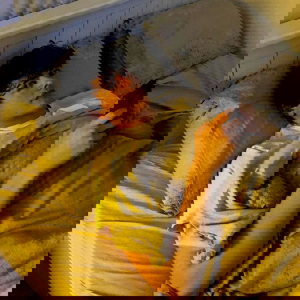 yannaidebeer yannaidebeer archive image