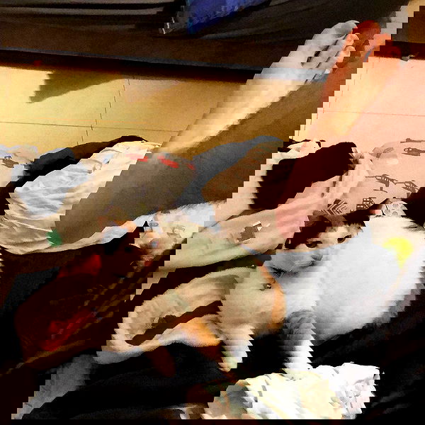 yannaidebeer yannaidebeer archive image