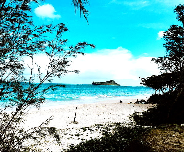 yazgolden instagram image archive image