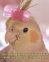 yazgolden Altpins Profile Picture