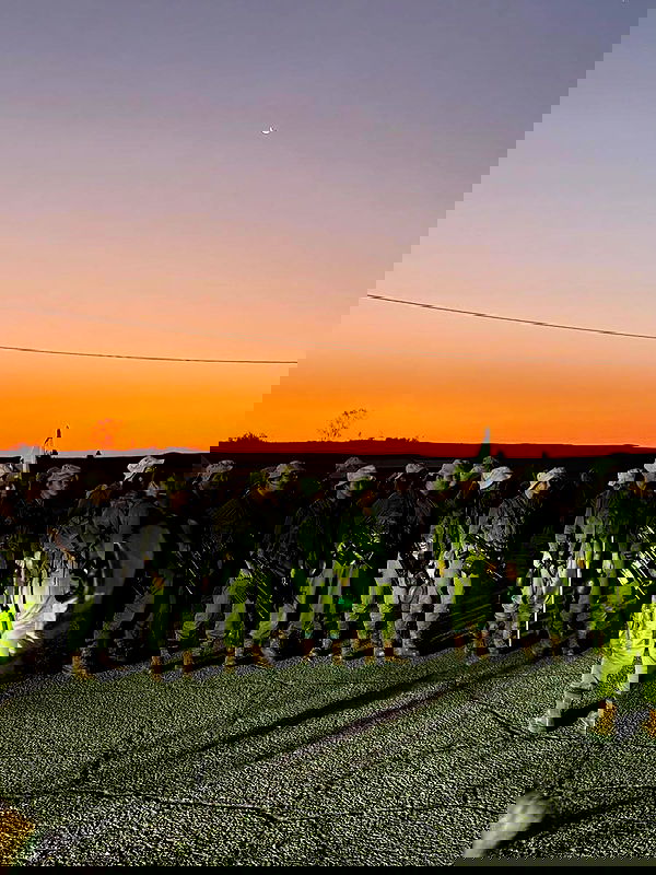 yeela__ yeela__ archive image