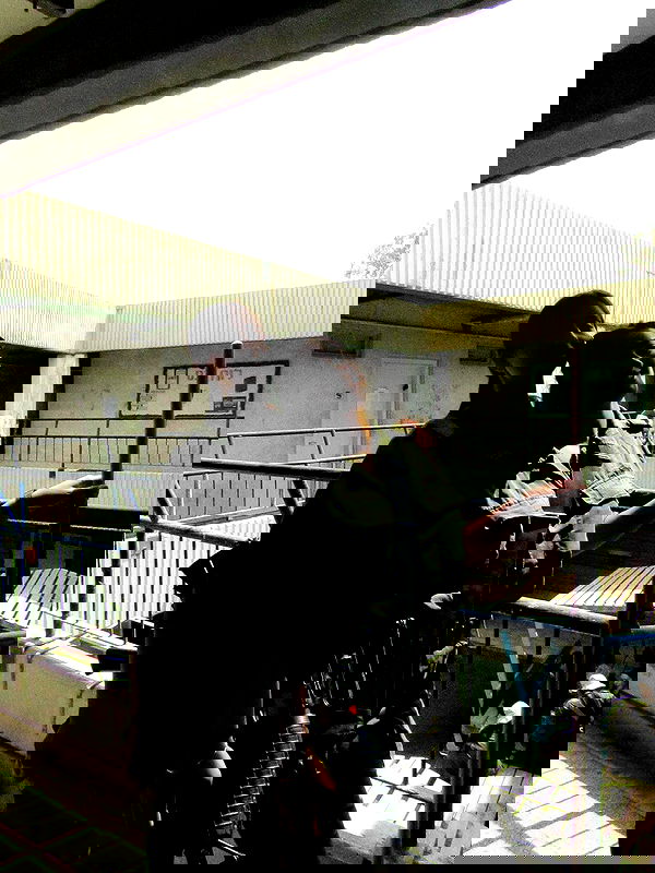 yeela__ yeela__ archive image