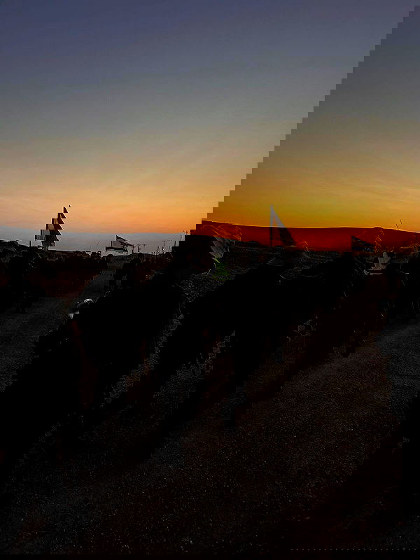 yeela__ yeela__ archive image