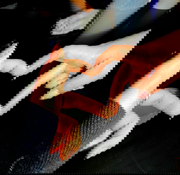 yemada yemada archive image