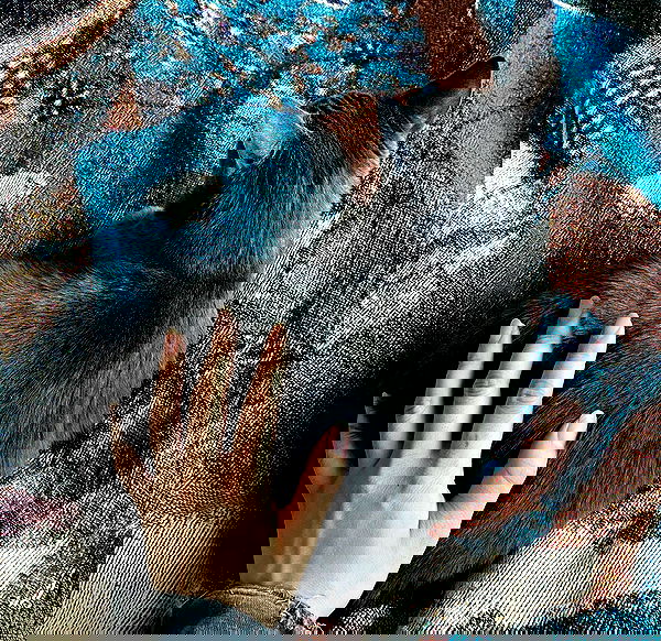 yemada yemada archive image