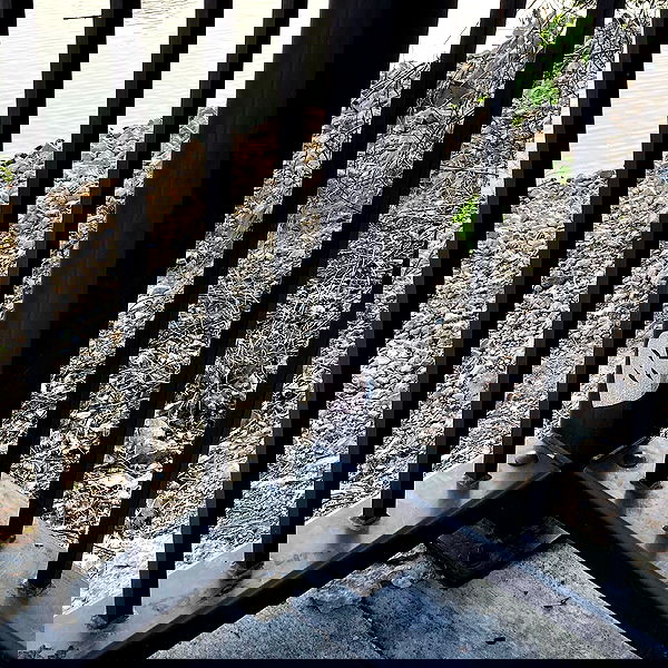 yemada yemada archive image