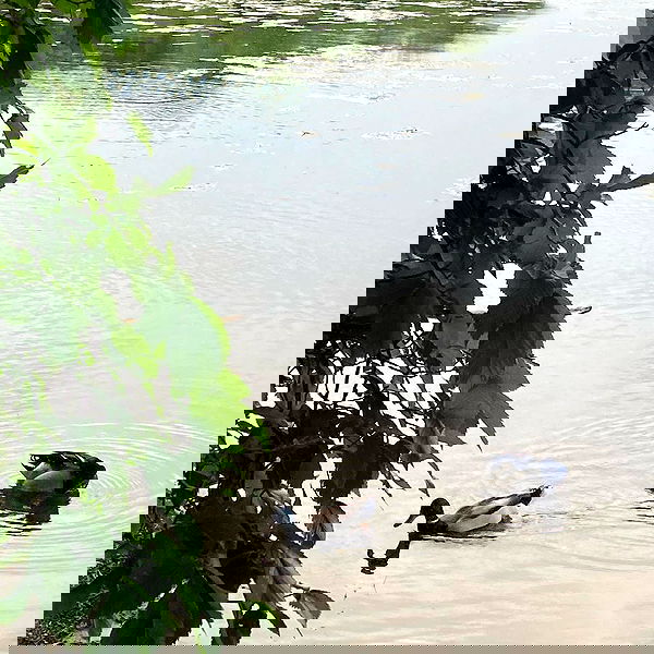 yemada yemada archive image