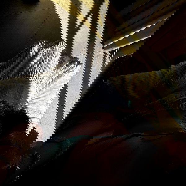 yemada yemada archive image