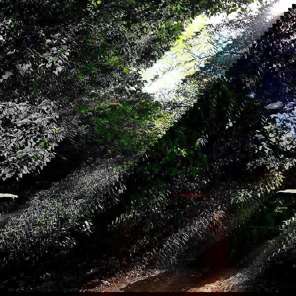 yemada yemada archive image