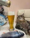 yinsdere Altpins Profile Picture
