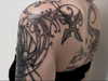 yoavaltaratz_ Altpins Profile Picture