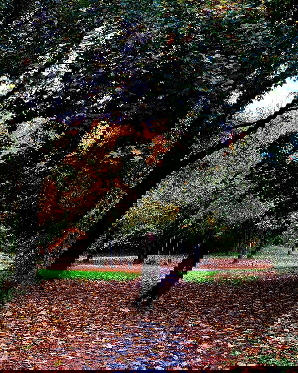 yoo.mon yoo.mon archive image