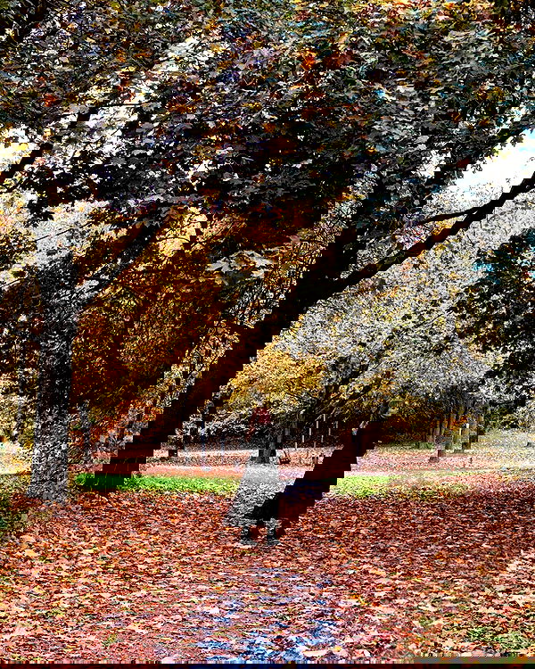 yoo.mon yoo.mon archive image