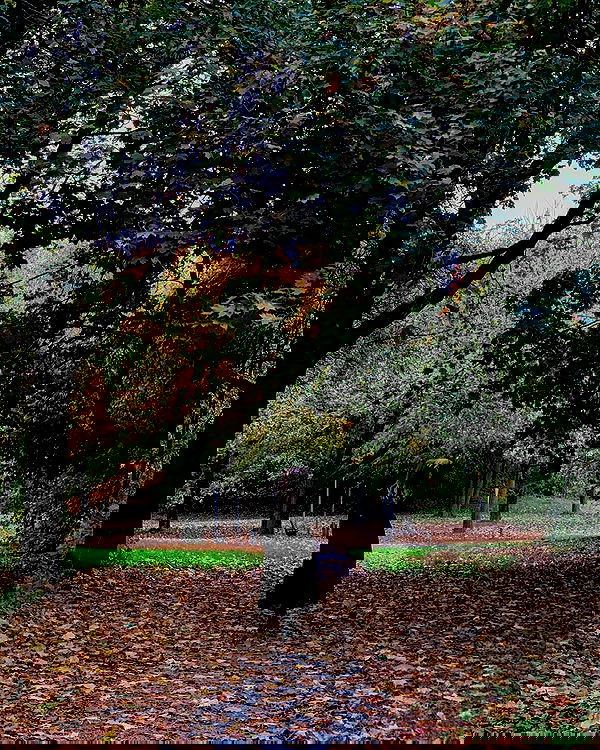 yoo.mon yoo.mon archive image