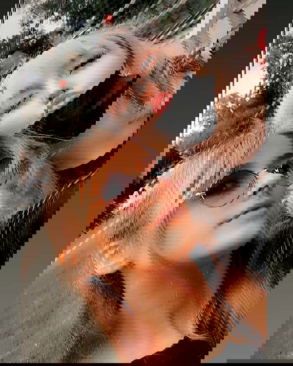 yoo.mon yoo.mon archive image