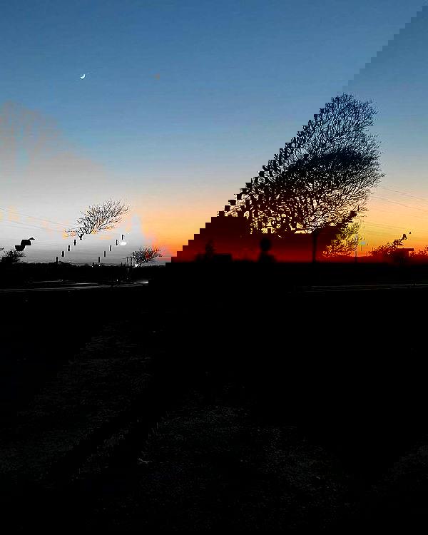 yoo.mon yoo.mon archive image