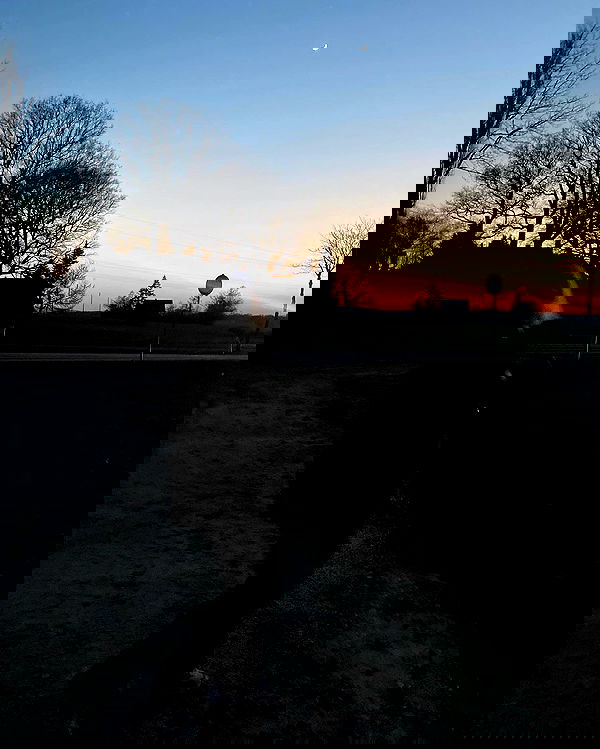 yoo.mon yoo.mon archive image