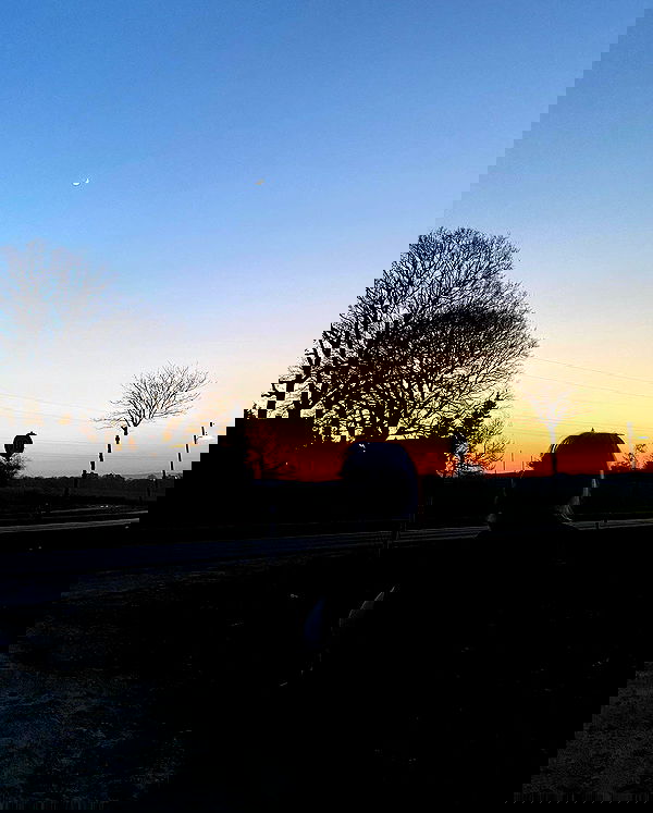 yoo.mon yoo.mon archive image