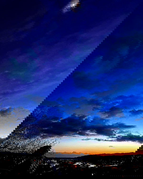 yoo.mon yoo.mon archive image