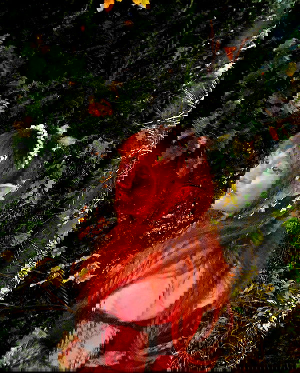 yoo.mon yoo.mon archive image