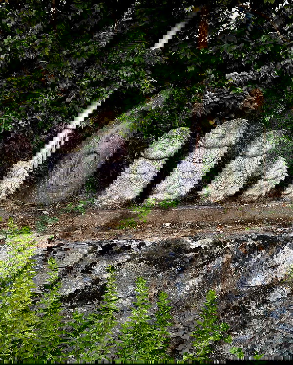 yoo.mon yoo.mon archive image