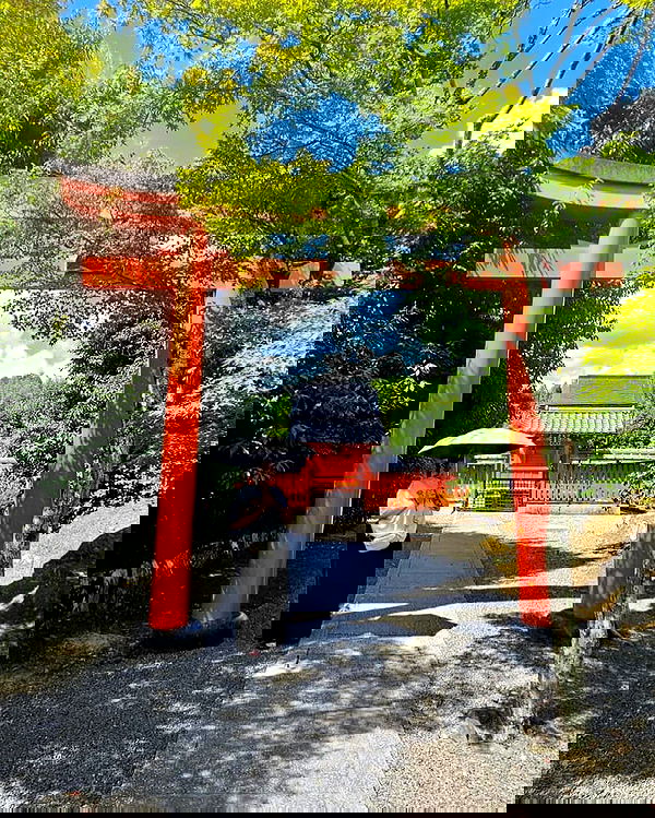 yoo.mon yoo.mon archive image