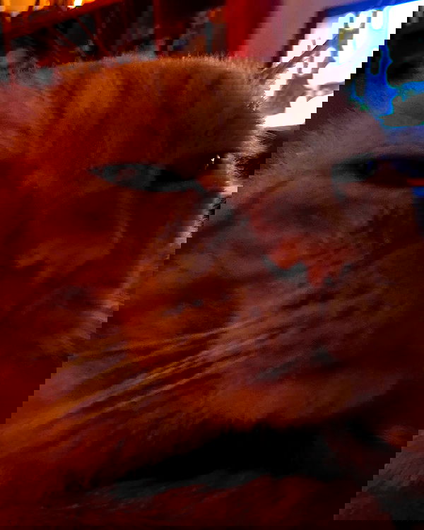 yoo.mon yoo.mon archive image