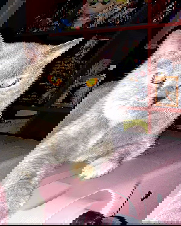 yoo.mon yoo.mon archive image