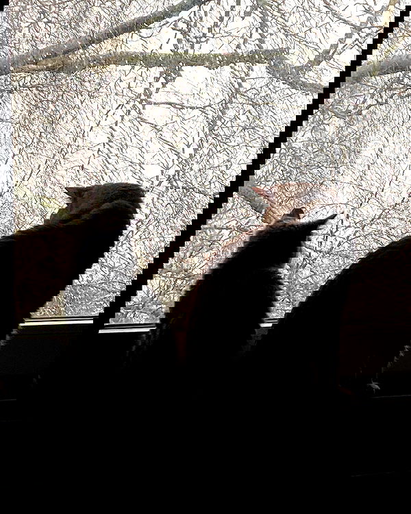 yoo.mon yoo.mon archive image