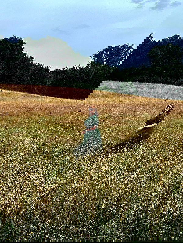 yoo.mon yoo.mon archive image